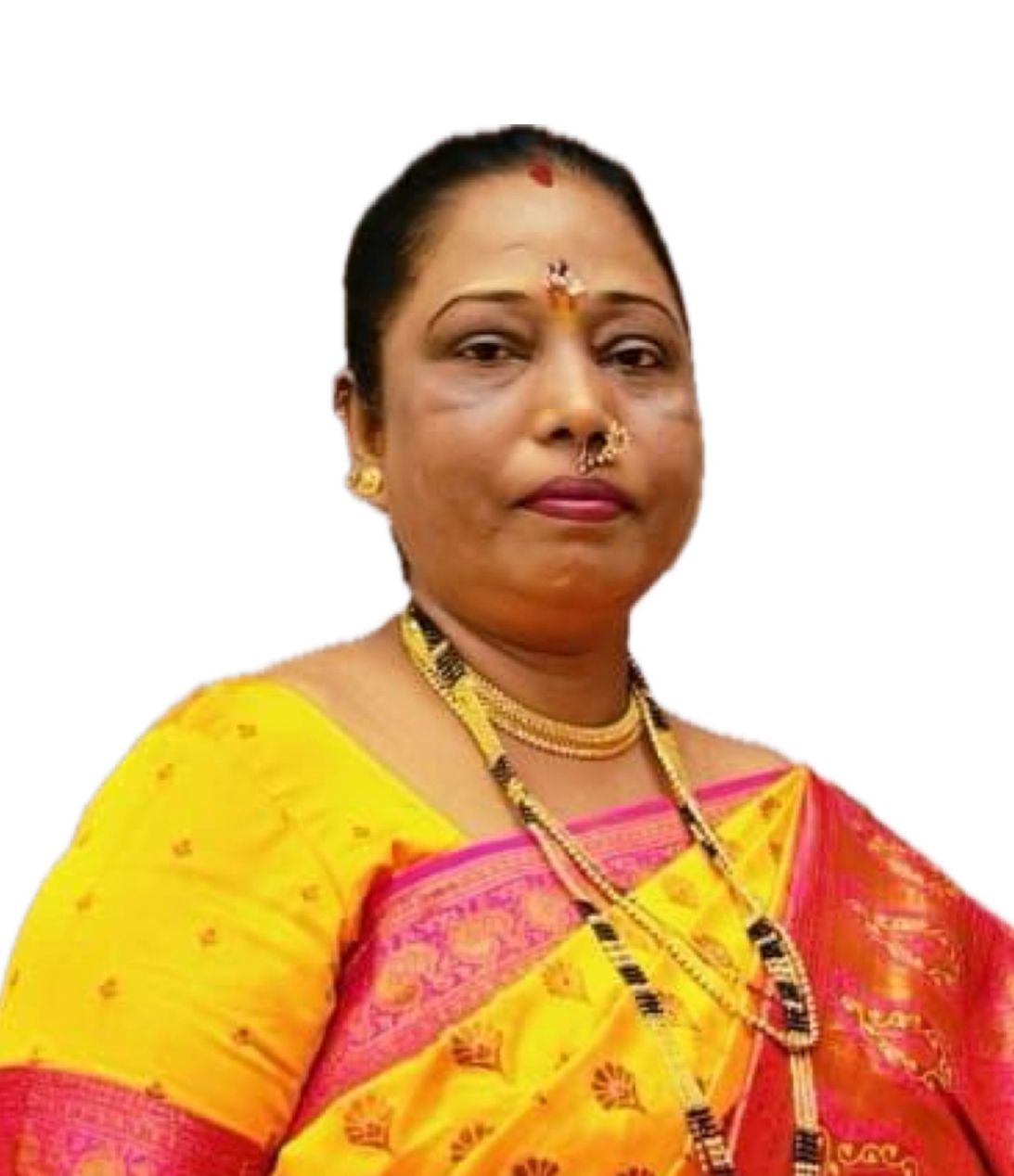 विना विनोद जगताप